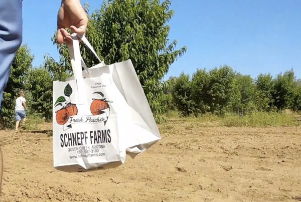 Schnepf Farm Peach Fest
